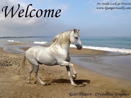 Desktop Backgrounds Of Horses. desktop wallpaper horses.